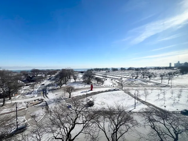 $5,500 | 2800 North Lake Shore Drive, Unit 801, Chicago, IL 60657