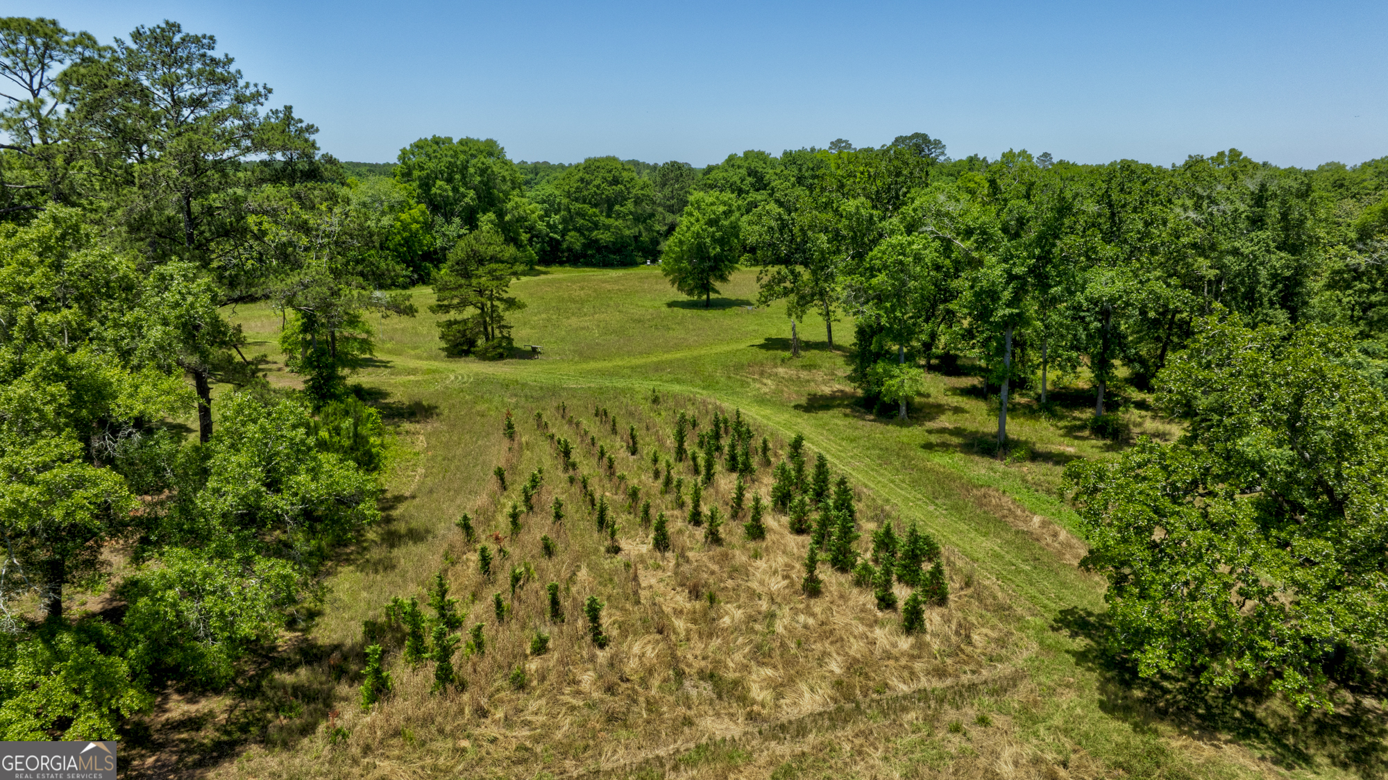 246 Melton Mill Road Dawson, GA 39842 - Photo 50 of 78