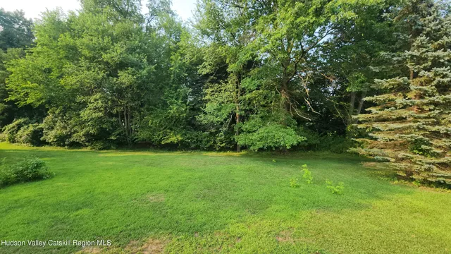 a view of a green yard