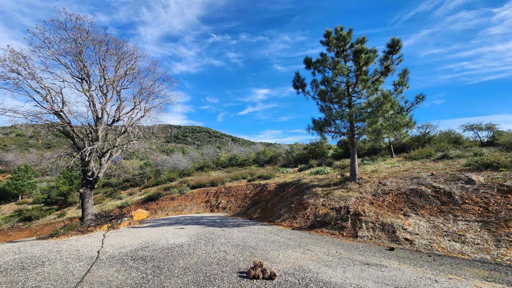 5566 Acorn Patch Road Julian, CA 92036 - Photo 3 of 8 a view of a road with a yard