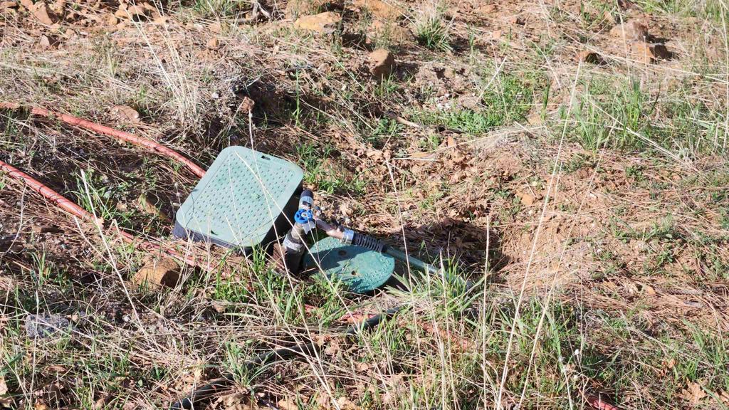 5566 Acorn Patch Road Julian, CA 92036 - Photo 4 of 8 a backyard of a house with lots of green space