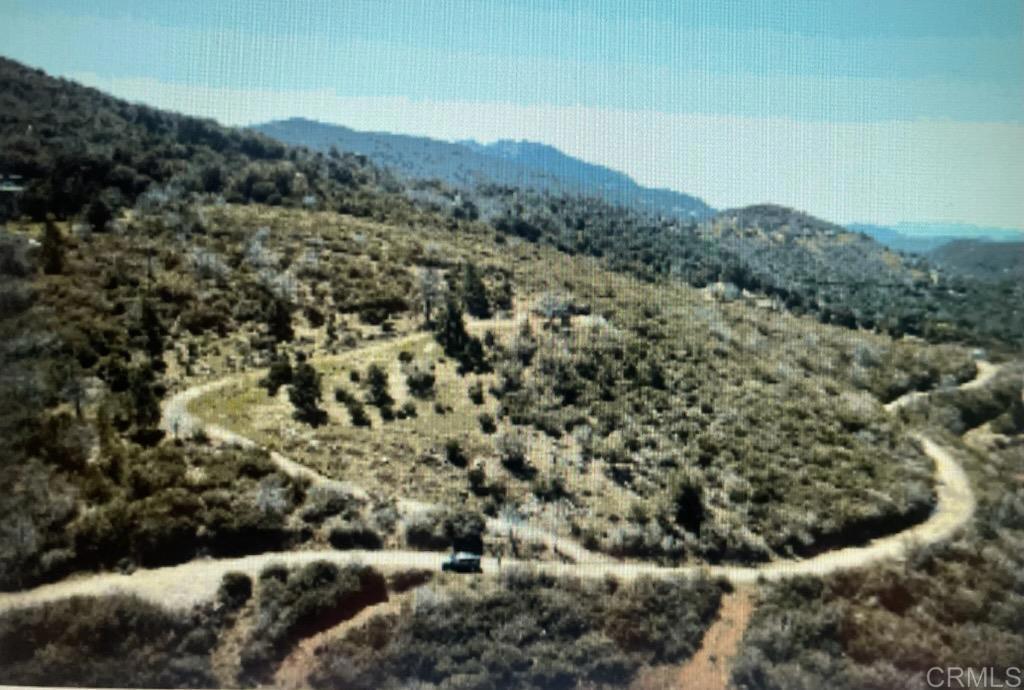 5566 Acorn Patch Road Julian, CA 92036 - Photo 7 of 8 a view of a forest with a forest