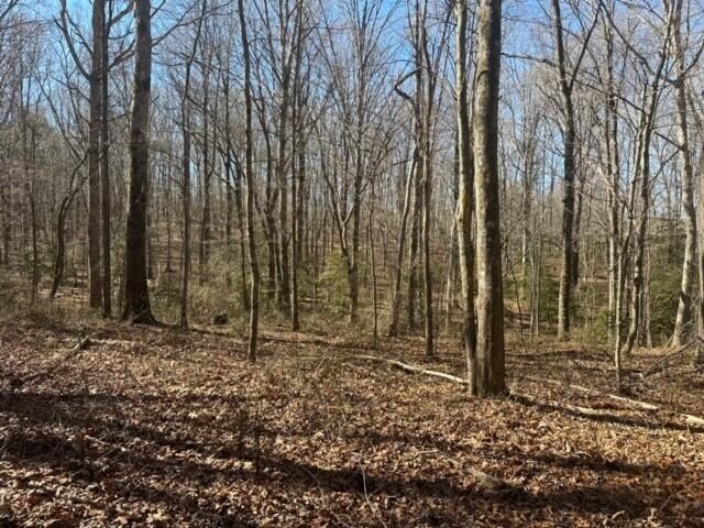 1 Newt Meeks Road Tracy City, TN 37387 - Photo 8 of 18 Gallery Image 8