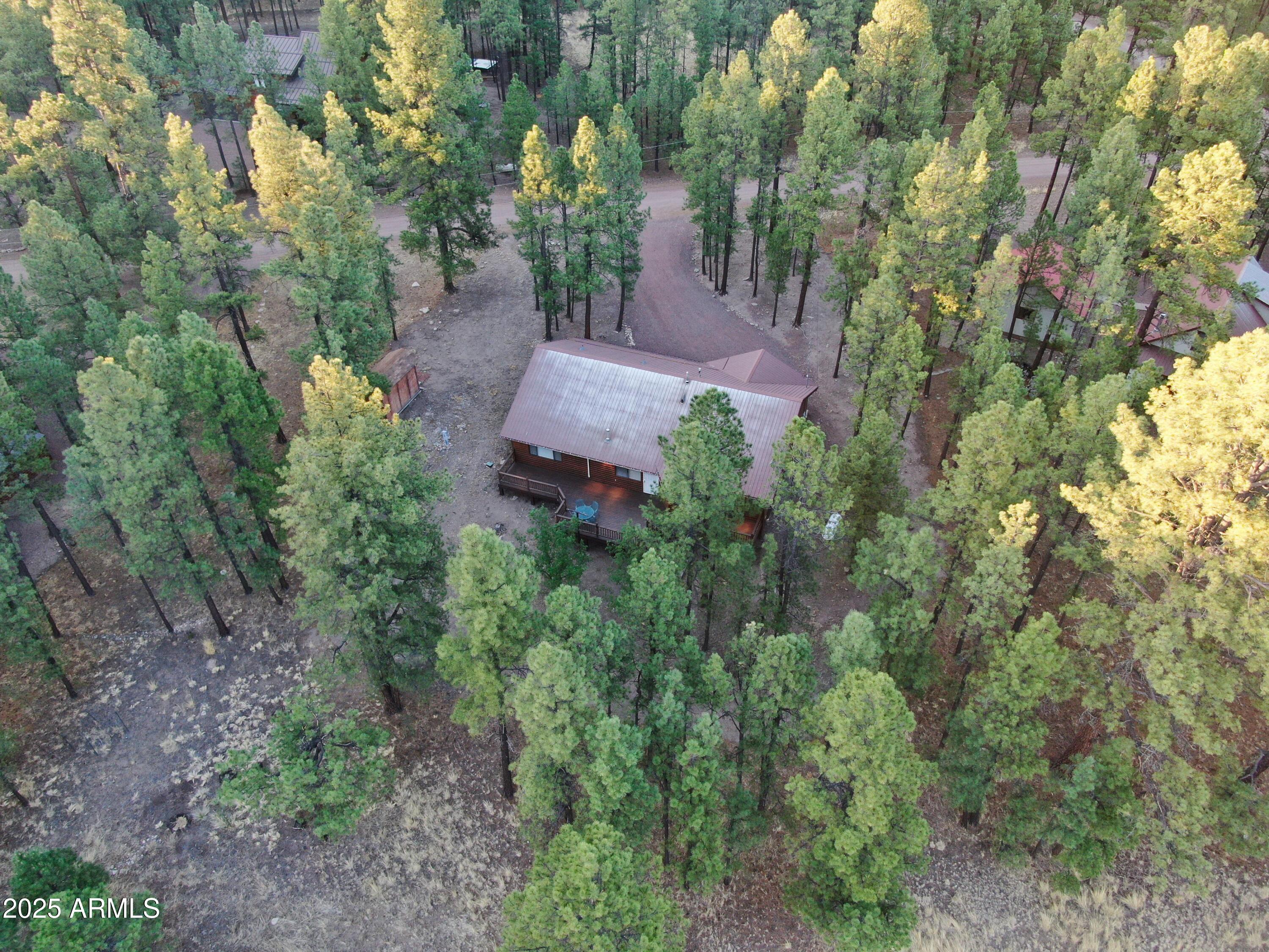 6 County Road 2271 Alpine, AZ 85920 - Photo 2 of 47 DJI_0530