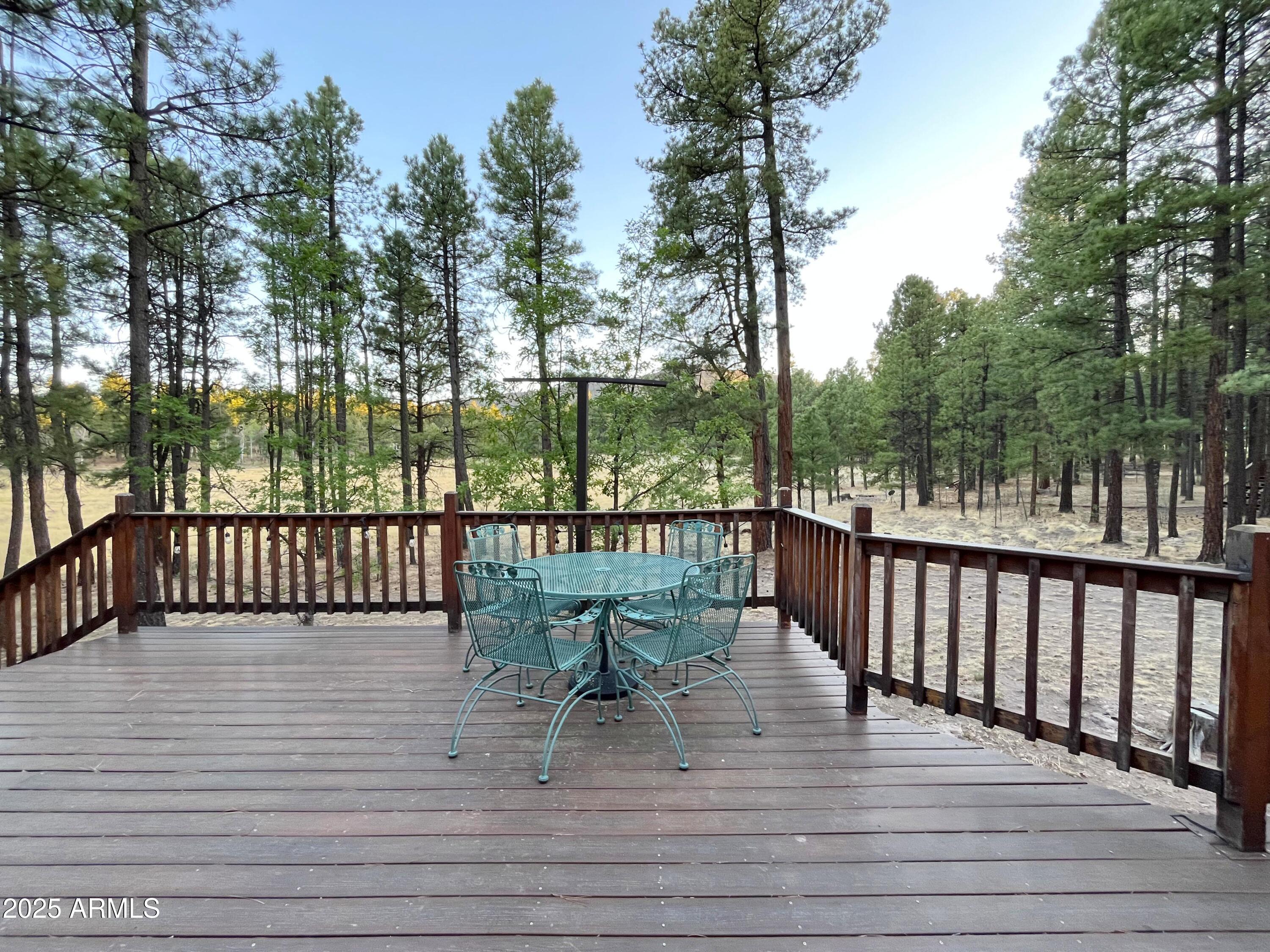 6 County Road 2271 Alpine, AZ 85920 - Photo 24 of 47 IMG_0547