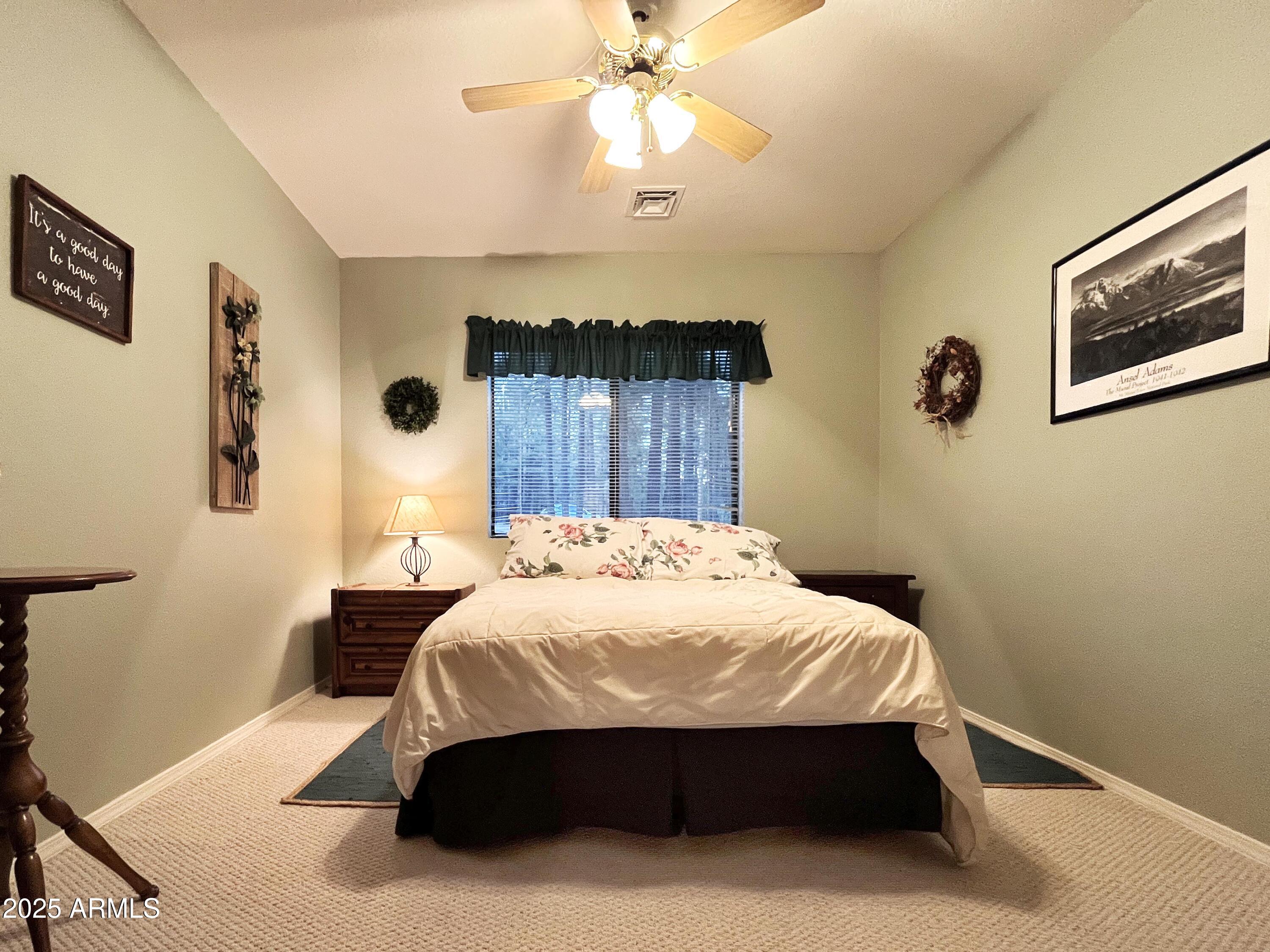 6 County Road 2271 Alpine, AZ 85920 - Photo 35 of 47 IMG_0585