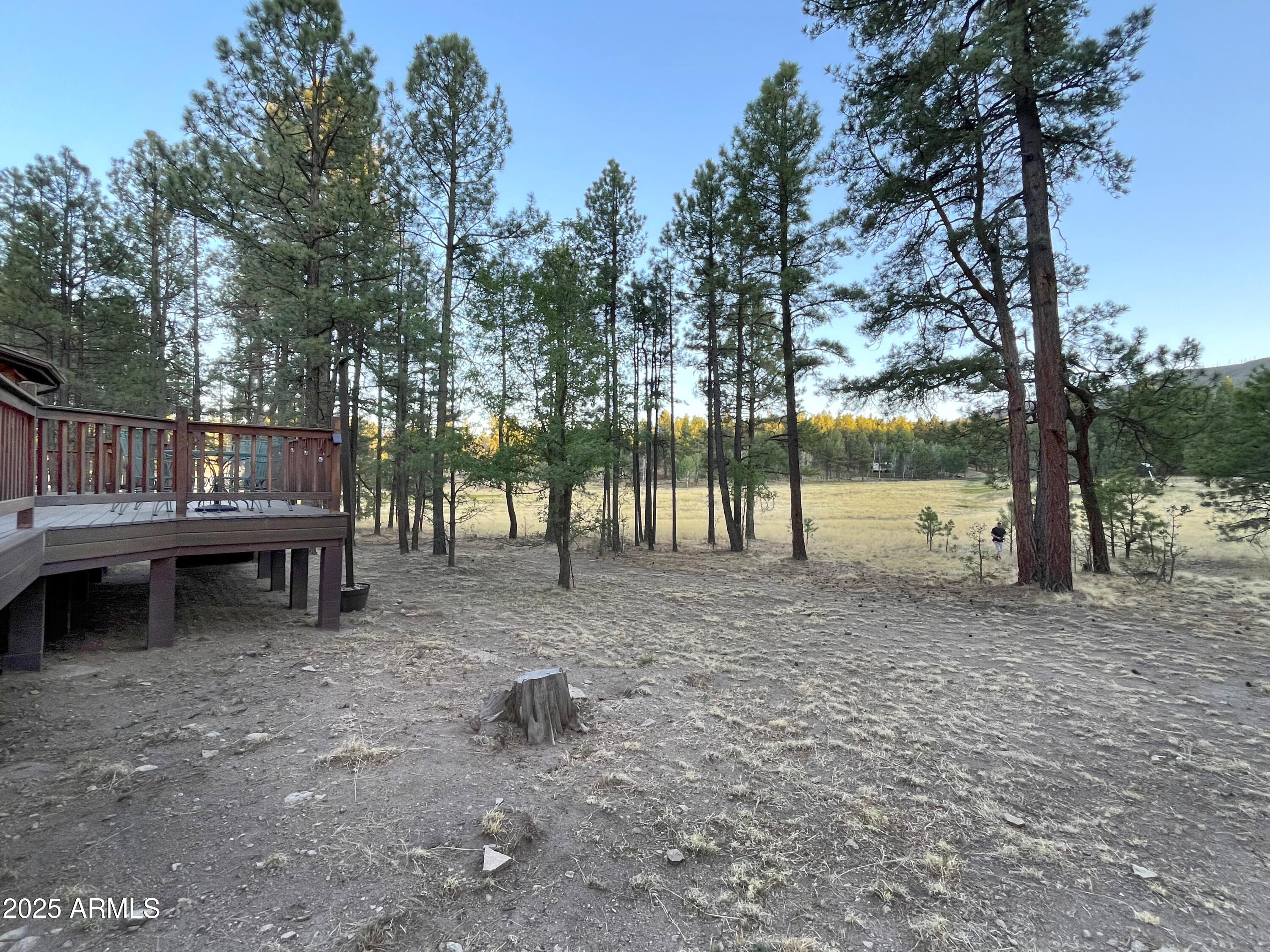 6 County Road 2271 Alpine, AZ 85920 - Photo 44 of 47 IMG_0554