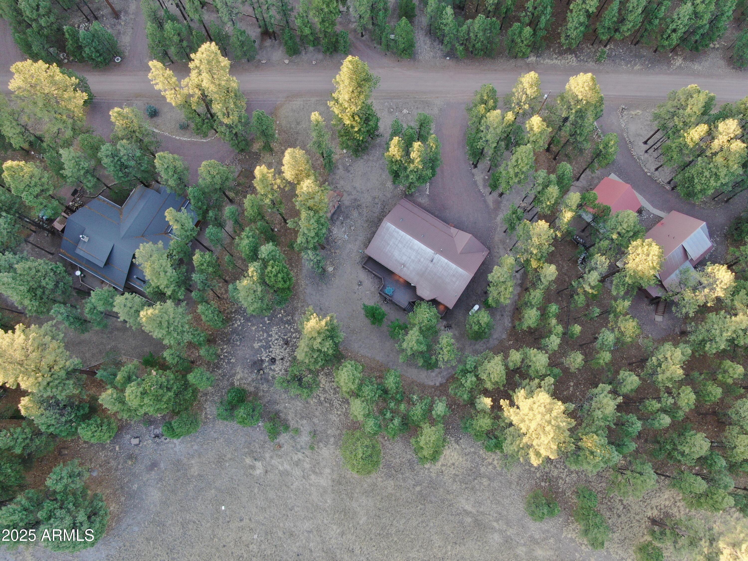 6 County Road 2271 Alpine, AZ 85920 - Photo 45 of 47 DJI_0528