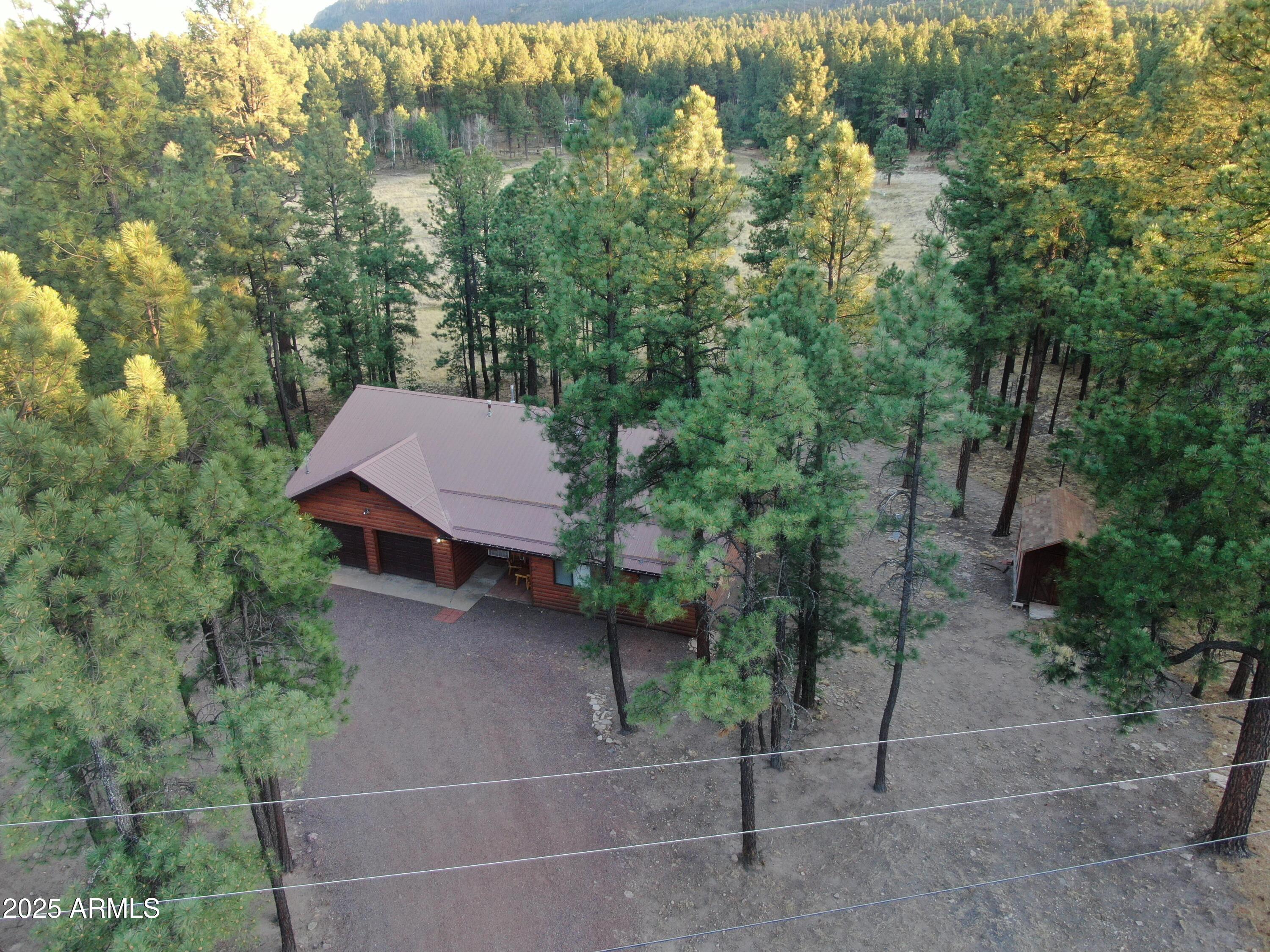 6 County Road 2271 Alpine, AZ 85920 - Photo 46 of 47 DJI_0523