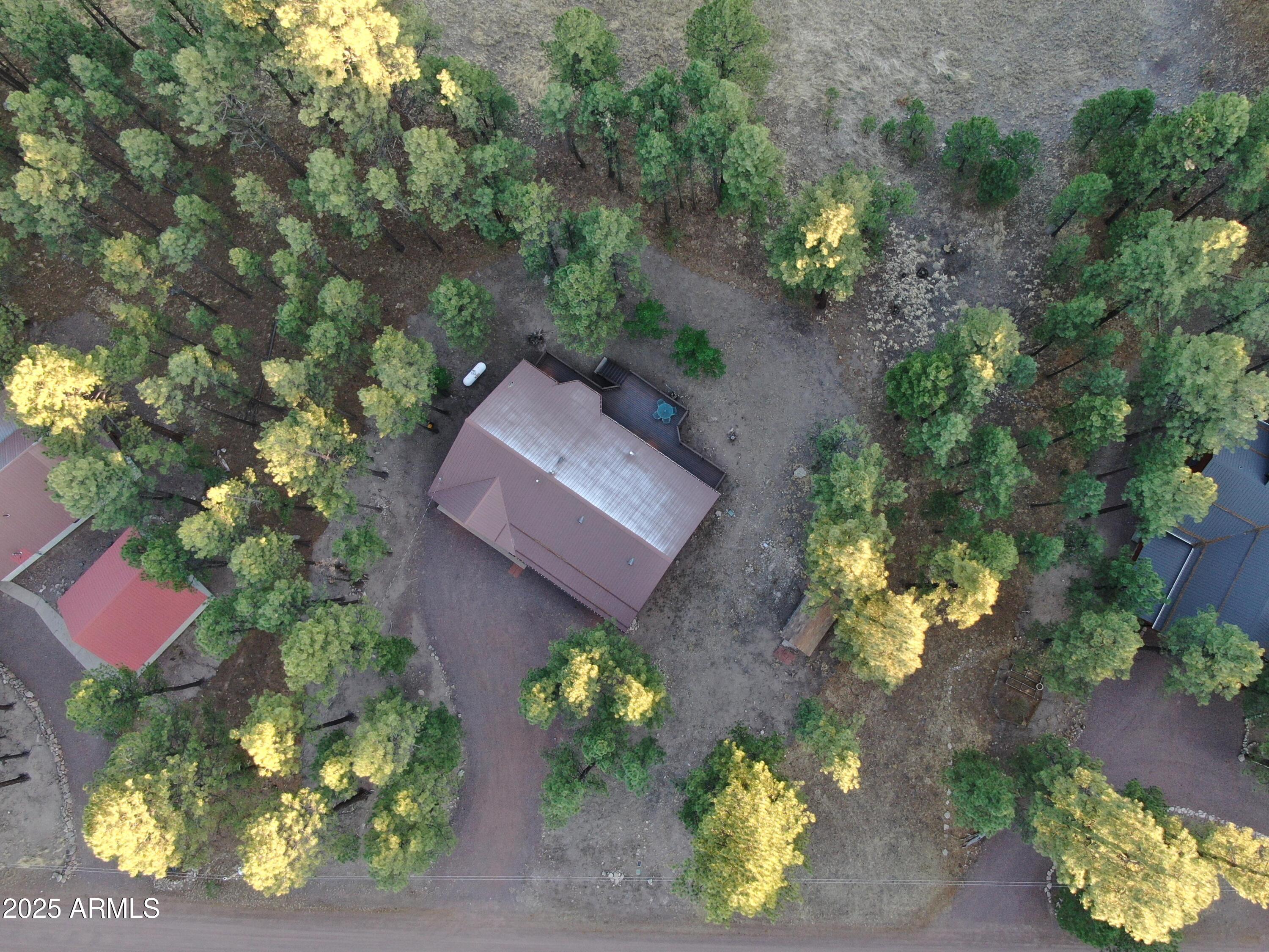 6 County Road 2271 Alpine, AZ 85920 - Photo 6 of 47 DJI_0527