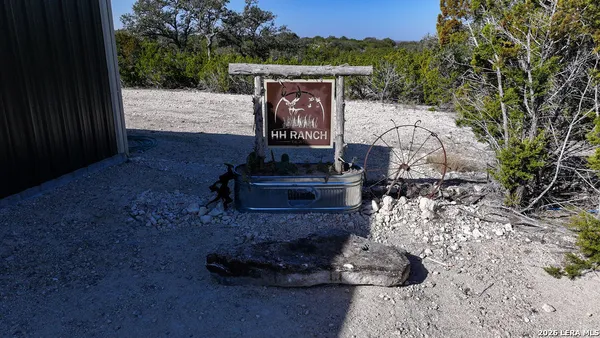 a view of a backyard with a fountain plants and large tree