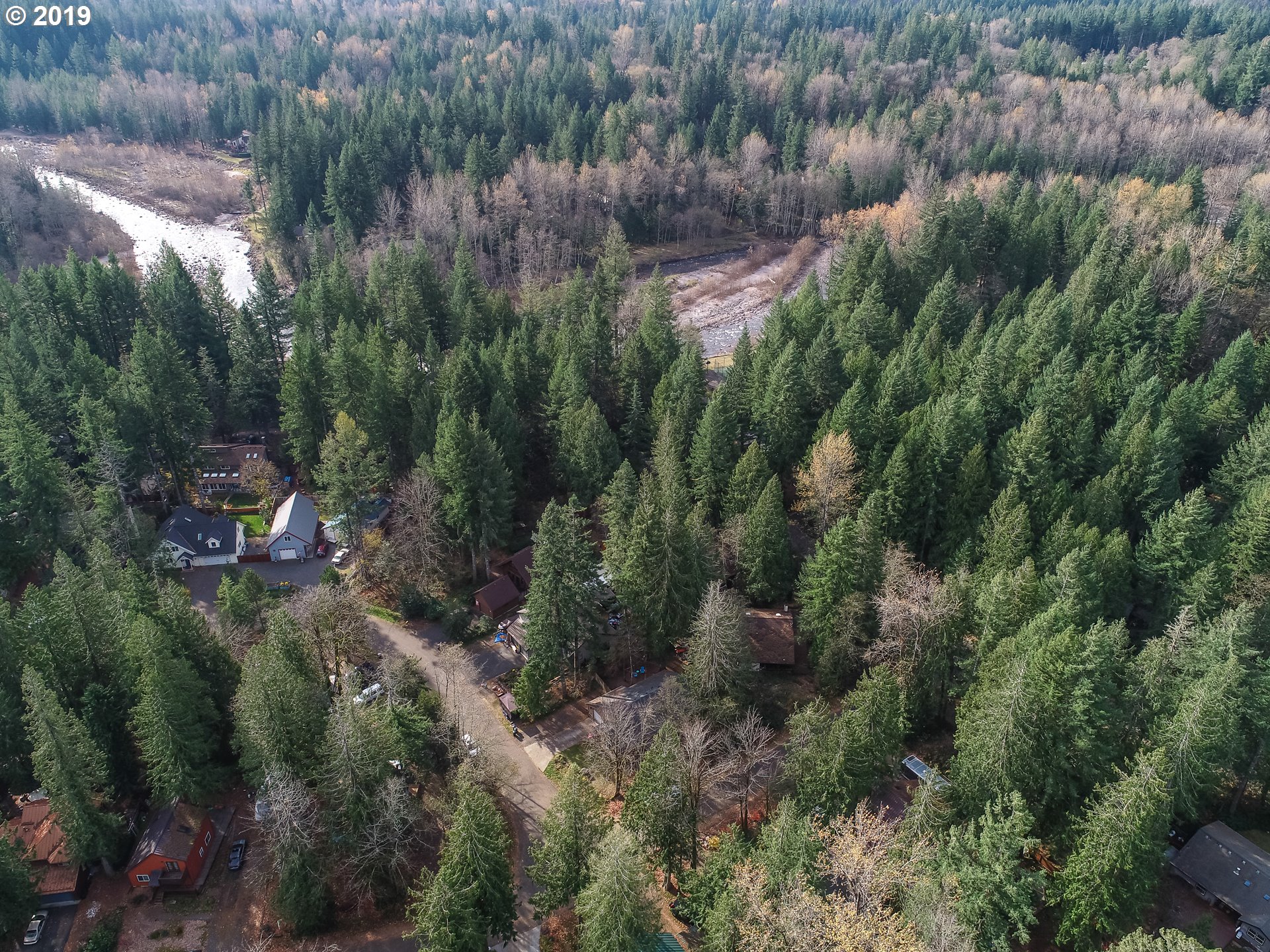 65210 East Alpine Way Rhododendron, OR 97049 - Photo 3 of 29 a view of a forest with a street