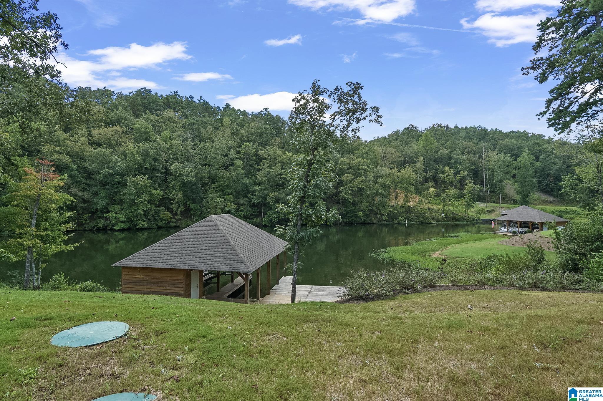 1090 Preserve Road Rockford, AL 35136 - Photo 61 of 64