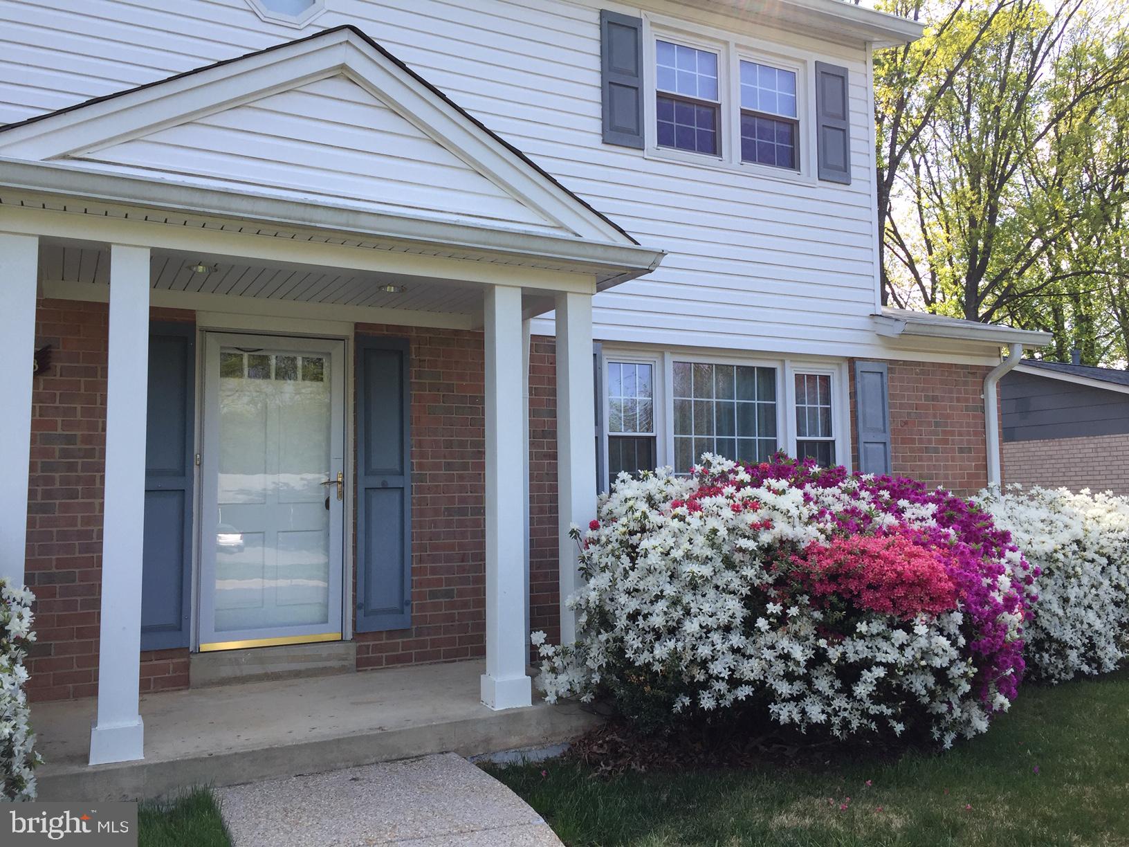 6808 Sydenstricker Road Springfield, VA 22153 - Photo 4 of 65 Beautiful azaleas in the spring