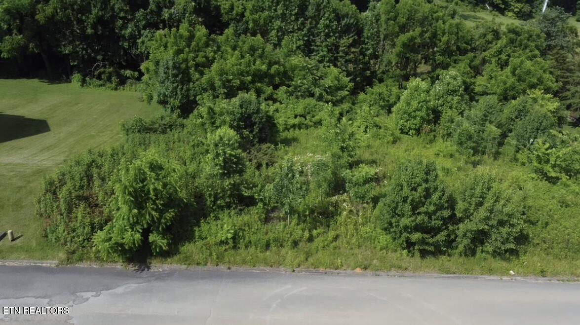 Lot 8 Thomas Headrick Road Sevierville, TN 37862 - Photo 2 of 2 IMG_7103