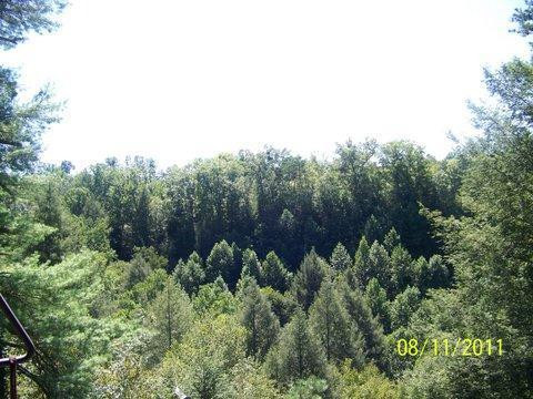 141 Lookout Heights Road Wellington, KY 40387 - Photo 11 of 12 Photo 11