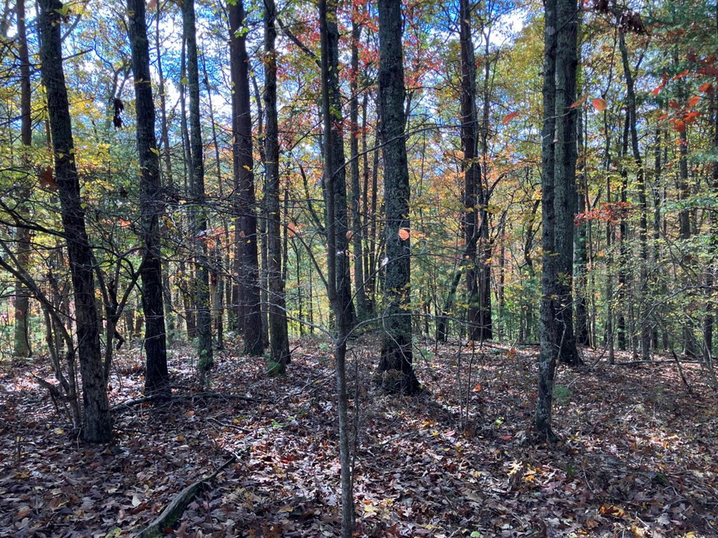 39 A Hedden Stiles Road Murphy, NC 28906 - Photo 26 of 30