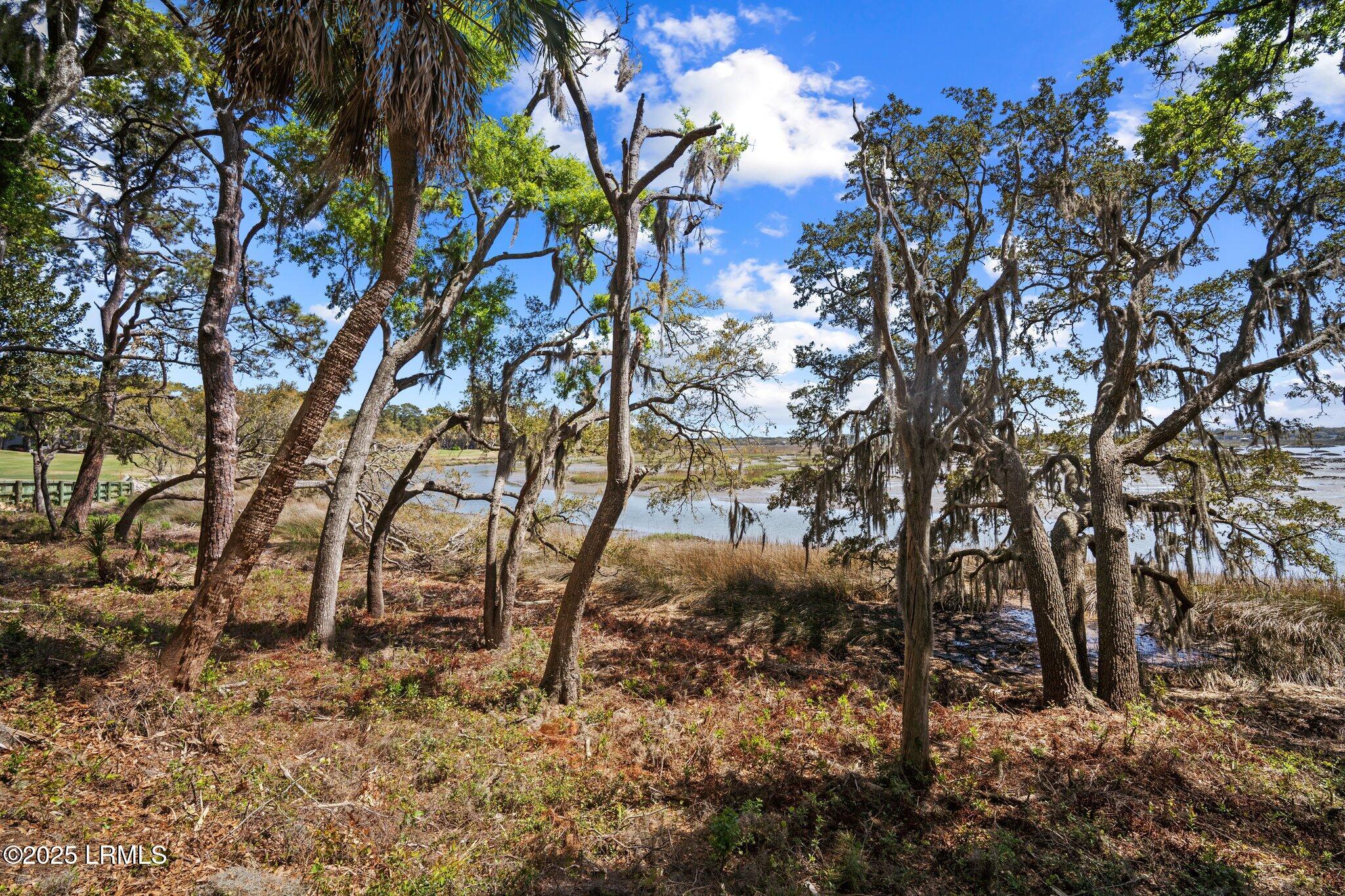 2009 Bluff Villas Road St. Helena Island, SC 29920 - Photo 40 of 44 5-web-or-mls-DSC01714