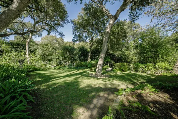 a view of a backyard