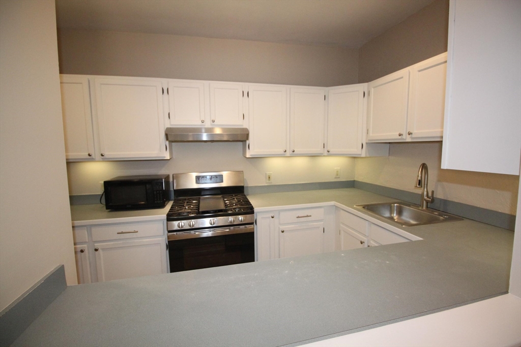 11 Worcester Street, Unit 2 Boston, MA 02118 - Photo 8 of 23 a kitchen with granite countertop a stove sink and cabinets