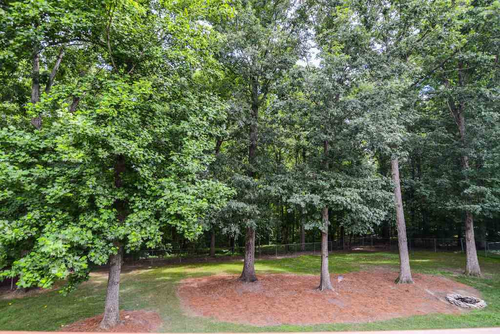 6221 Silver Spring Court Willow Spring, NC 27592 - Photo 16 of 29 Photo 16