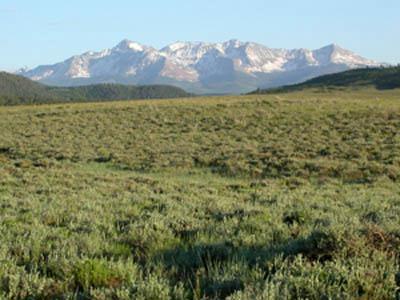 703 Big Valley Road Telluride, CO 81435 - Photo 1 of 7 Primary Photo
