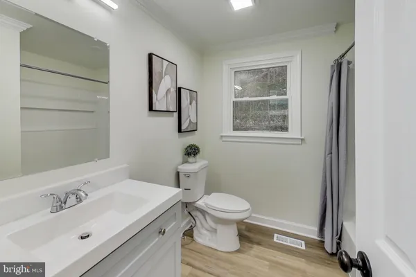 a bathroom with a sink toilet and vanity
