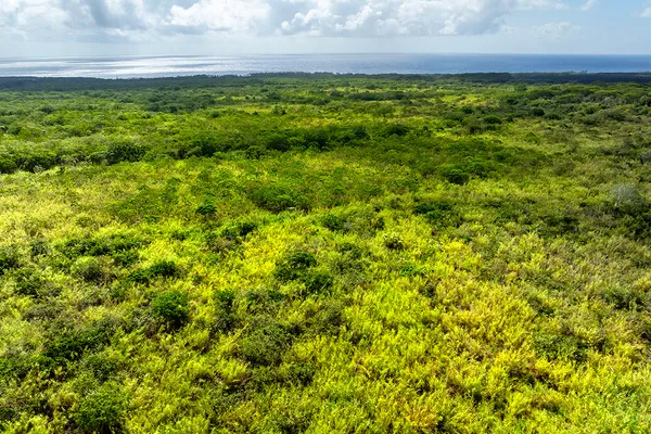 $1,600,000 | Lot 4-a-2 Lot 4-a-2 Pohoiki Road, Pahoa, HI 96778