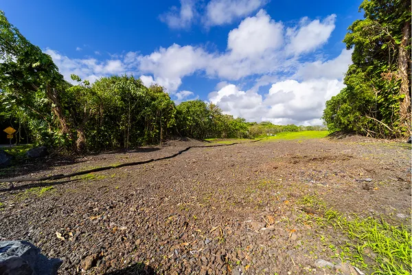 $1,600,000 | Lot 4-a-2 Lot 4-a-2 Pohoiki Road, Pahoa, HI 96778