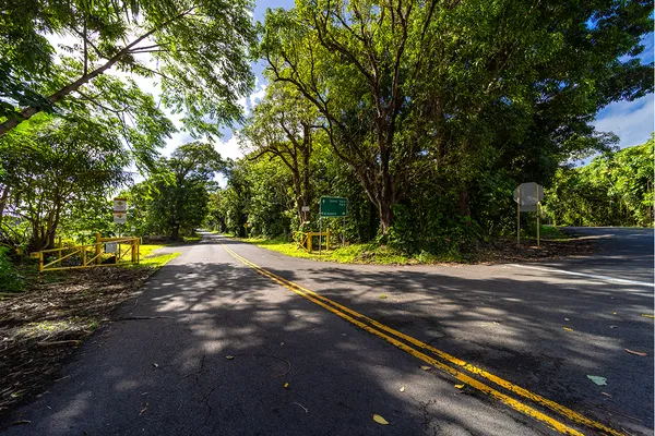 $1,600,000 | Lot 4-a-2 Lot 4-a-2 Pohoiki Road, Pahoa, HI 96778