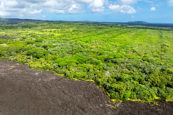 $1,600,000 | Lot 4-a-2 Lot 4-a-2 Pohoiki Road, Pahoa, HI 96778