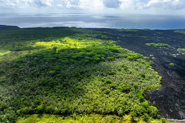 $1,600,000 | Lot 4-a-2 Lot 4-a-2 Pohoiki Road, Pahoa, HI 96778