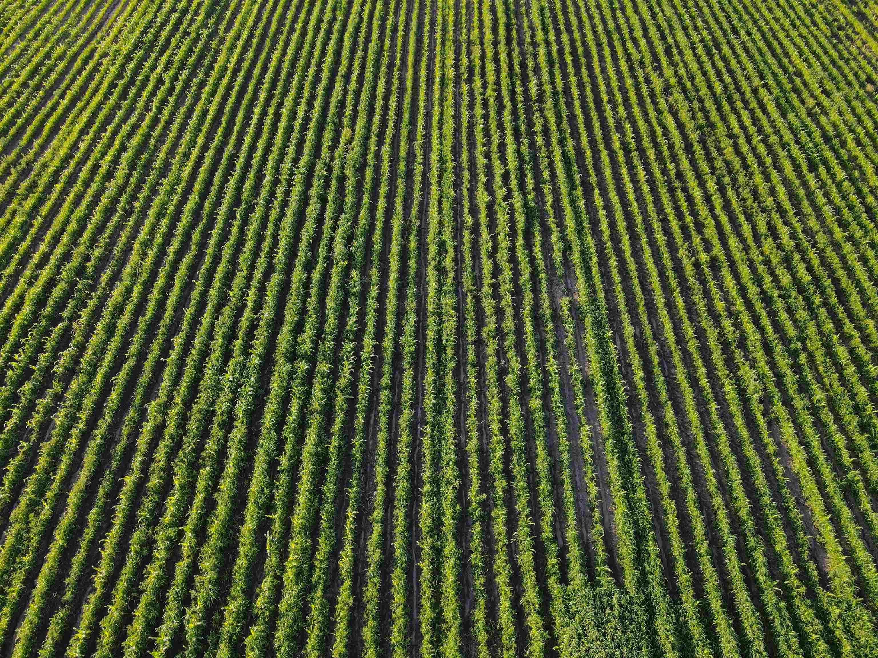 0 Todd Road Amboy, IL 61310 - Photo 8 of 58
