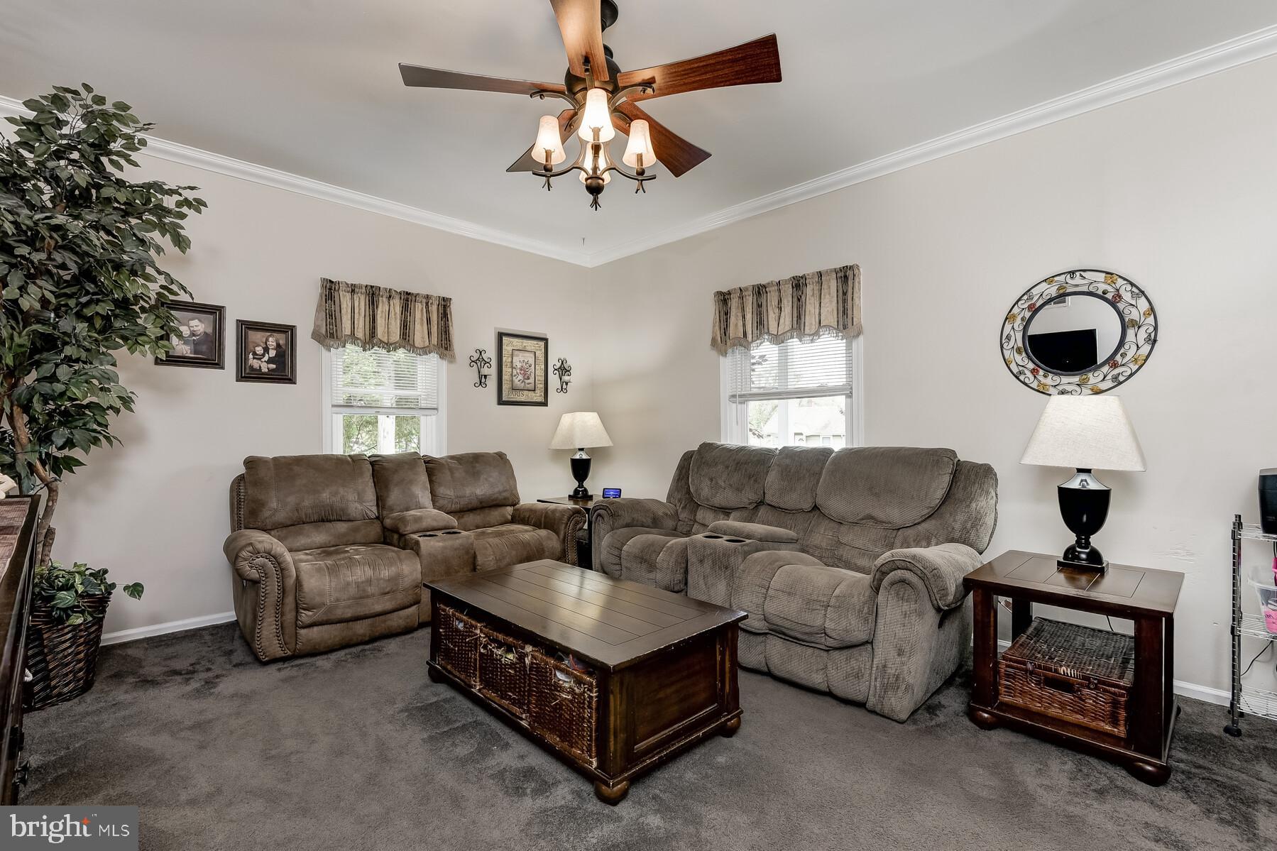 20 Ritters Lane Owings Mills, MD 21117 - Photo 5 of 28 Plush carpeting