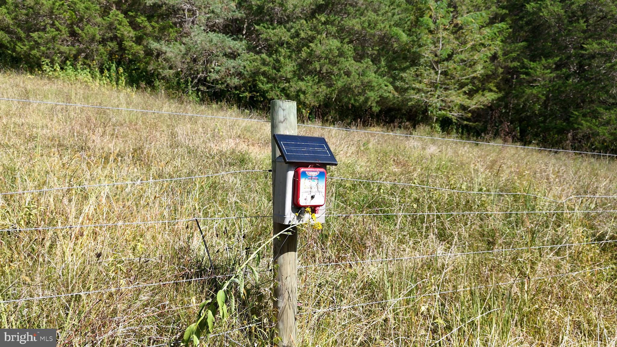Off Cavalier Road Rileyville, VA 22650 - Photo 83 of 89