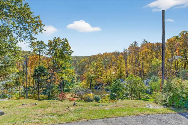 a view of a park with large trees