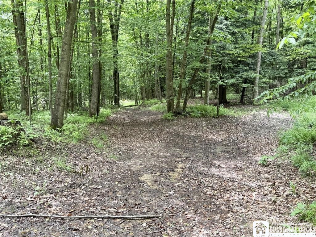 0 Luce Road Bemus Point, NY 14712 - Photo 9 of 39