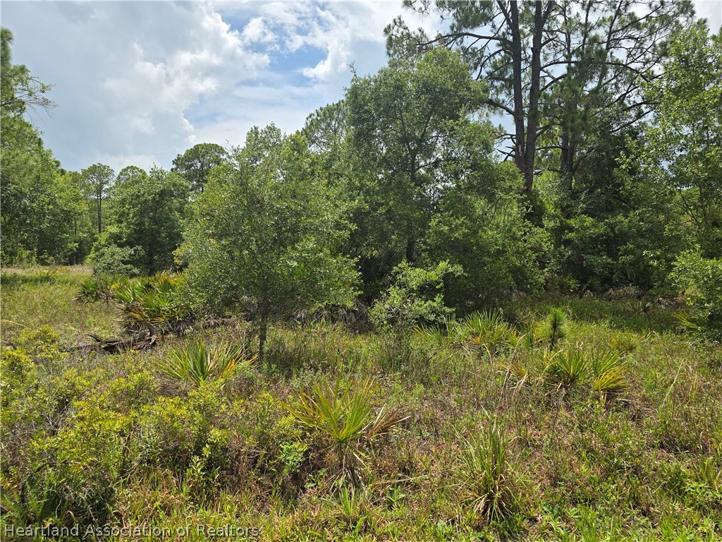 5855 Apple Road Sebring, FL 33875 - Photo 1 of 1 Gallery Image 1
