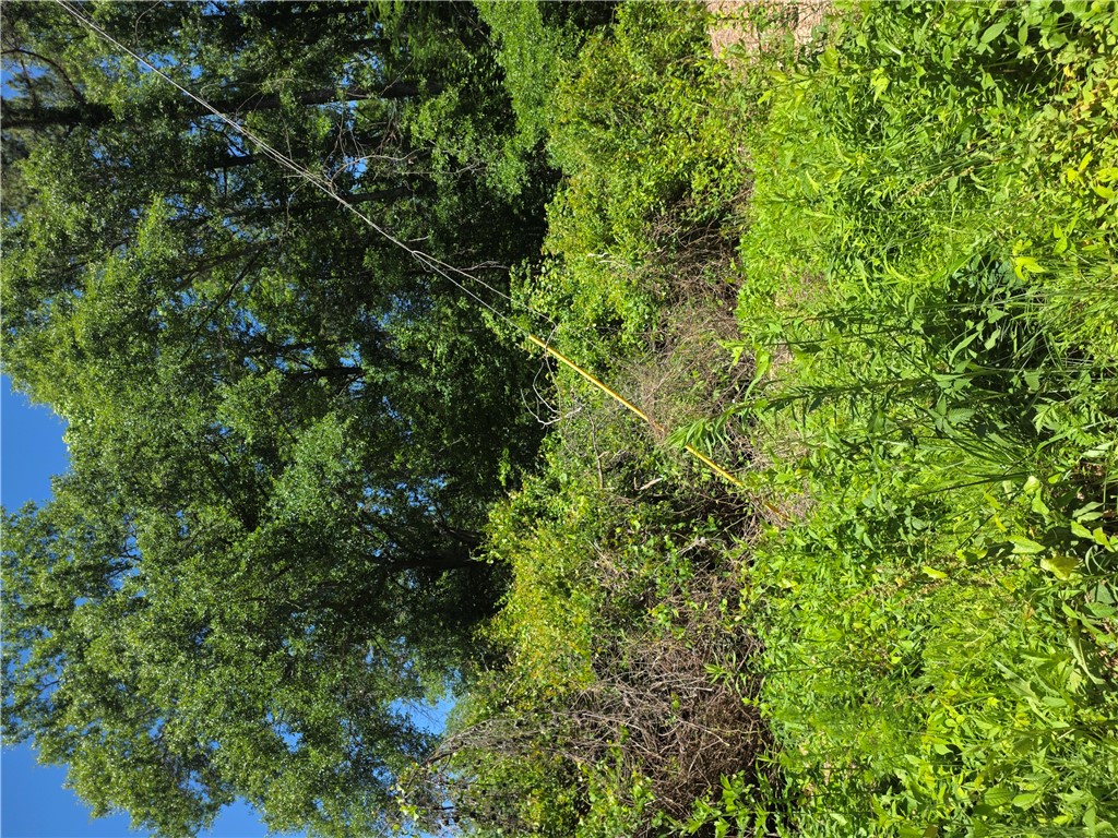 0 Tree Top Lane Easley, SC 29642 - Photo 2 of 2 This lot offers a tranquil setting with ample natural greenery and mature trees.