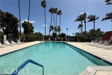 an ocean view with palm trees