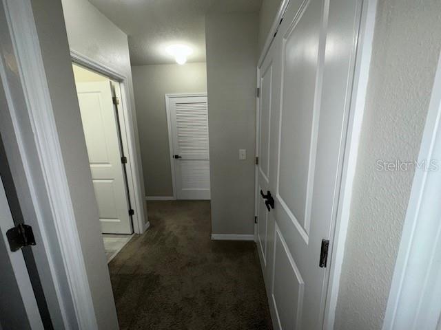 8906 Indigo Trl Loop Riverview, FL 33578 - Photo 20 of 31