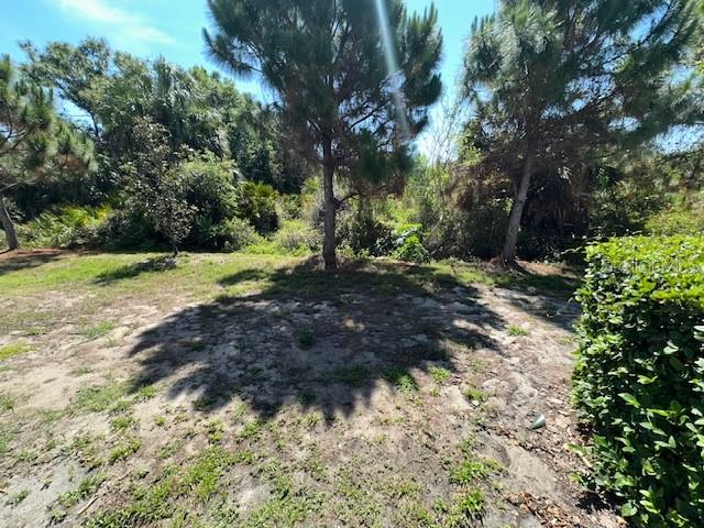 8906 Indigo Trl Loop Riverview, FL 33578 - Photo 31 of 31