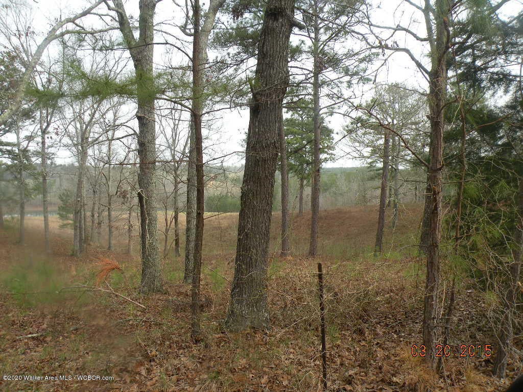 Old Pineywoods Road Jasper, AL 35504 - Photo 2 of 3 Gallery Image 2