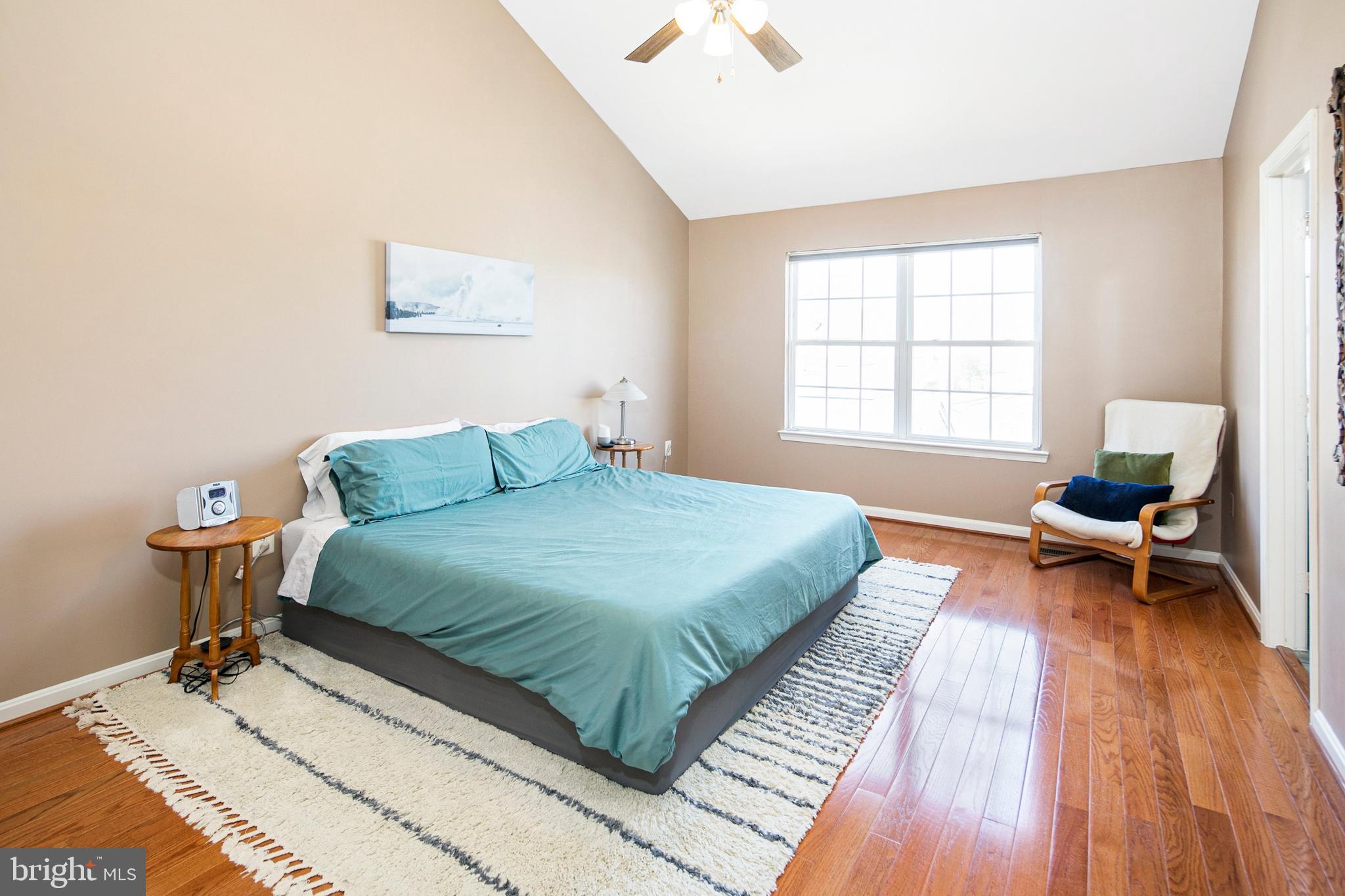 2602 Mill Race Road Frederick, MD 21701 - Photo 19 of 46 Vaulted Ceilings in the Primary Suite
