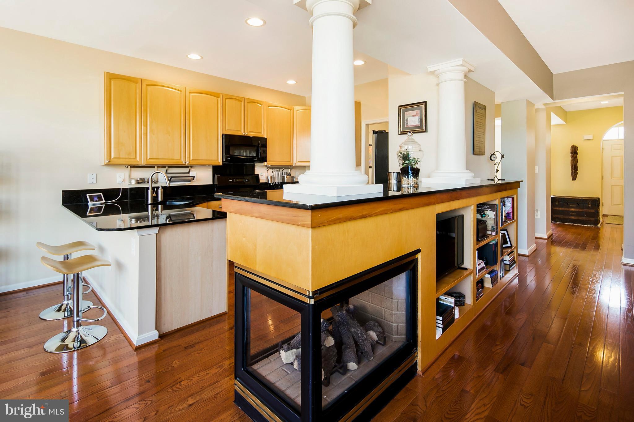 2602 Mill Race Road Frederick, MD 21701 - Photo 10 of 46 Gas Fireplace on Main