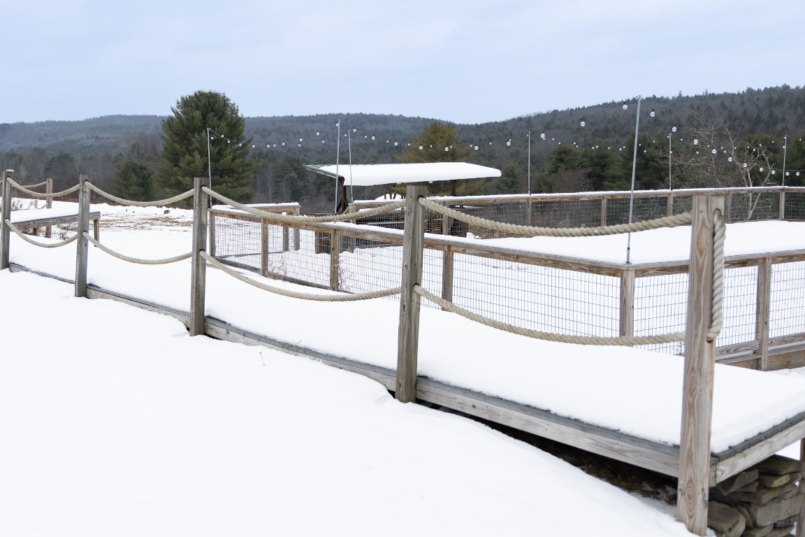 248 County Road, Unit 1 Chenango Forks, NY 13746 - Photo 4 of 11