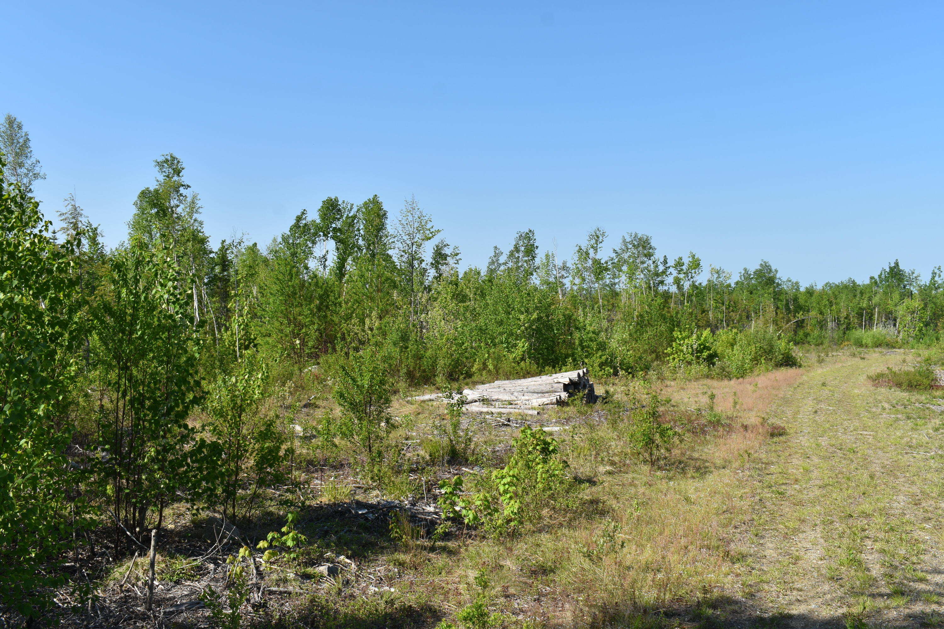 Off Goulds Ridge Road Passadumkeag, ME 04475 - Photo 6 of 22 DSC_0028