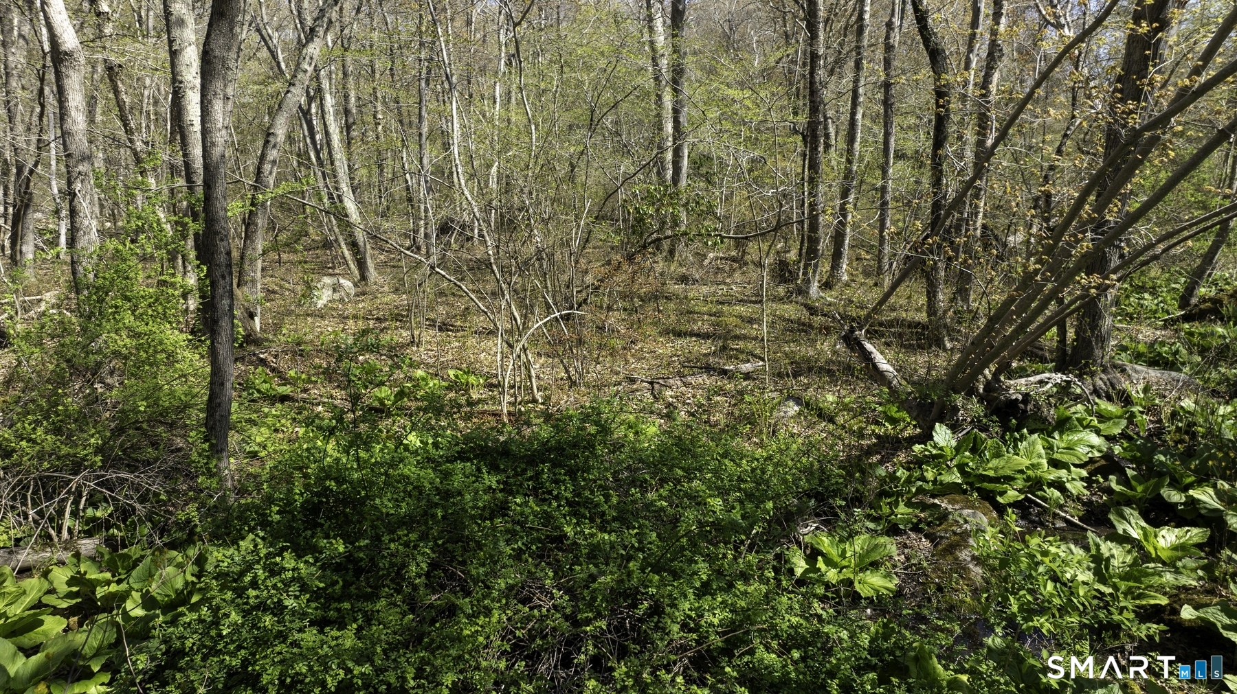 98 Braman Road Waterford, CT 06385 - Photo 13 of 15