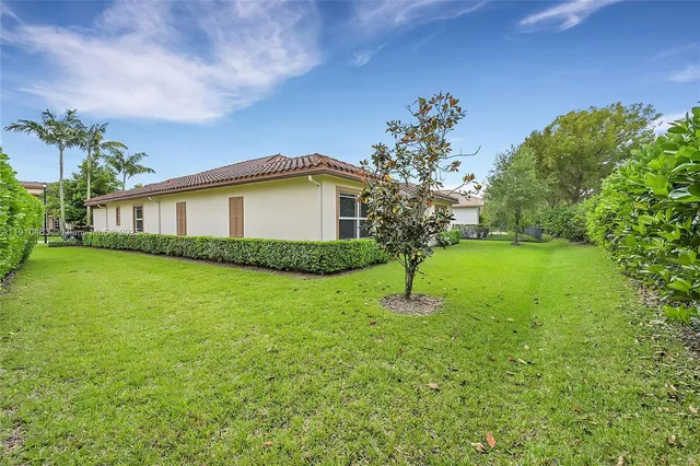 a view of a garden with a tree