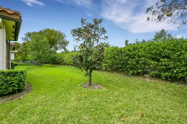 a palm tree sitting in front of a house with a yard